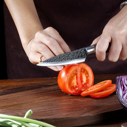 British professional chef knife set -6 pieces